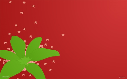 娟字五行是什么,名字寓意美好!你的名字